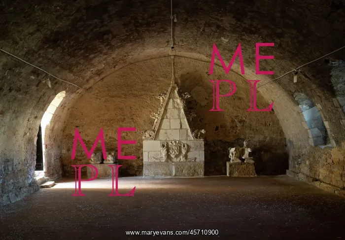 : Basement, Chateau du Plessis-Bourre, Ecuille : Basement, Chateau du Plessis-Bourre, Ecuille