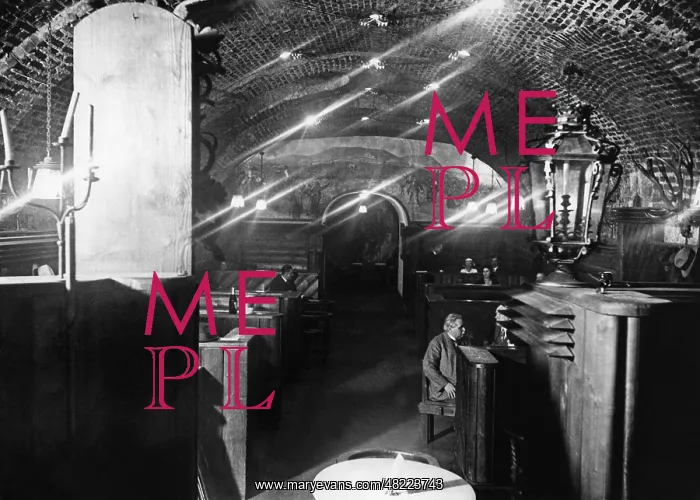 : The basement restaurant Hofkeller in Vienna : The basement restaurant Hofkeller in Vienna