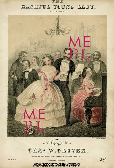 : Bashful Young Lady - 19th century : Bashful Young Lady - 19th century