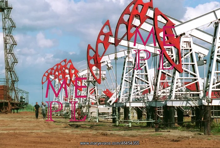 : Bashneft oil reservoirs, 1998 : Bashneft oil reservoirs, 1998