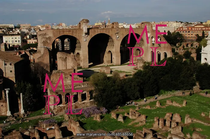  : Basilica of Maxentius. Rome. Italy