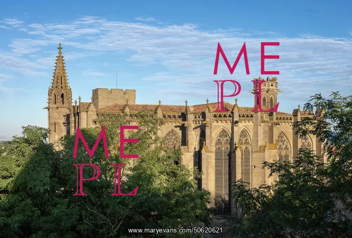 : Basilique Saint-Nazaire, Citadel, Carcassonne, France : Basilique Saint-Nazaire, Citadel, Carcassonne, France