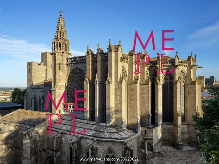 : Basilique Saint-Nazaire, Citadel, Carcassonne, France : Basilique Saint-Nazaire, Citadel, Carcassonne, France