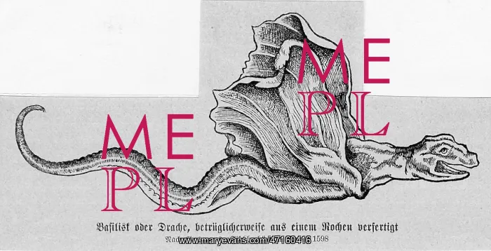 : Basilisk. Gesner, the author of the book whence the image comes : Basilisk. Gesner, the author of the book whence the image comes