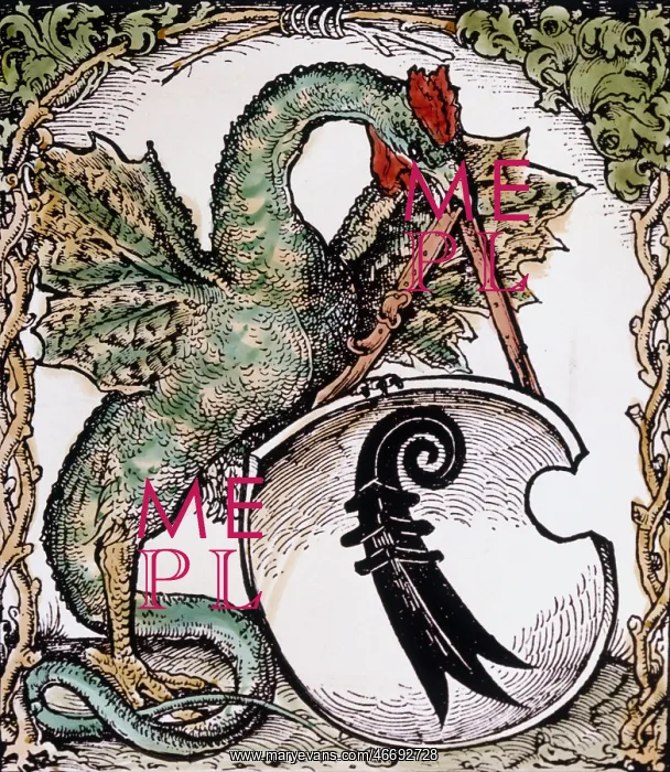 : Basilisk as supporter : Basilisk as supporter