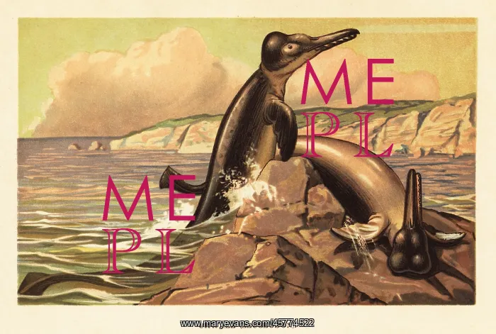 : Basilosaurus cetoides, prehistoric whale : Basilosaurus cetoides, prehistoric whale