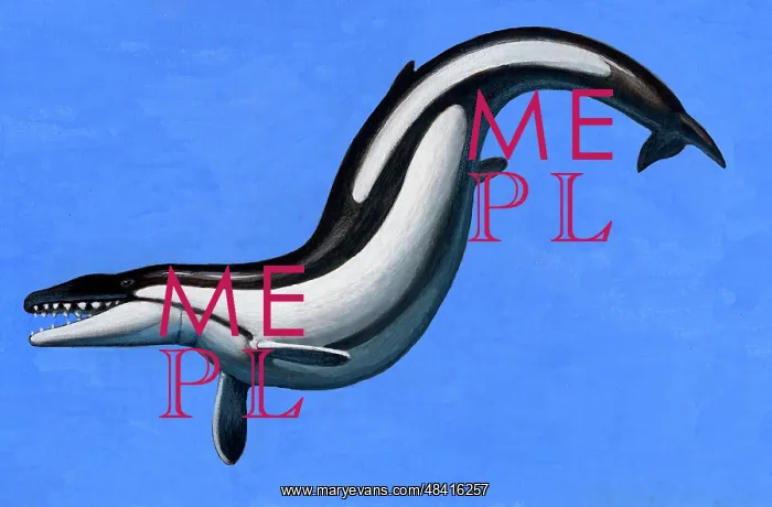 : Basilosaurus, a marine mammal that lived in the Late Eocene : Basilosaurus, a marine mammal that lived in the Late Eocene