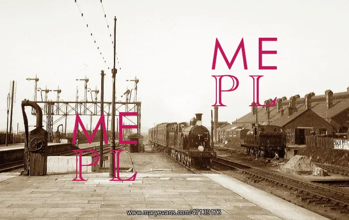  : Basingstoke Railway Station early 1900s