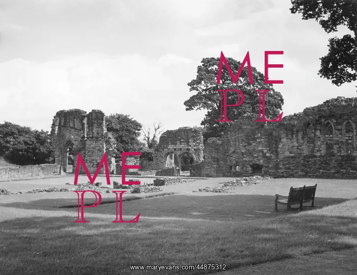 : BASINGWERK ABBEY : BASINGWERK ABBEY