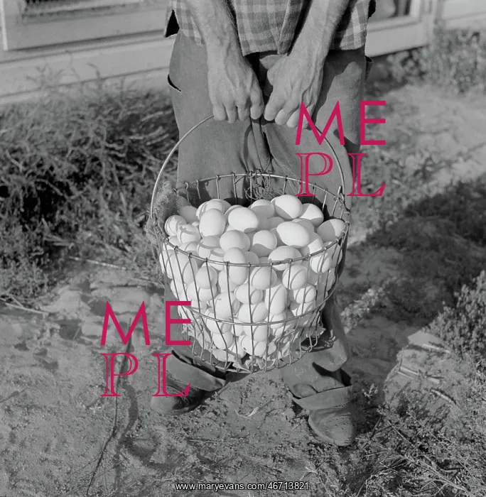  : Basket full of eggs