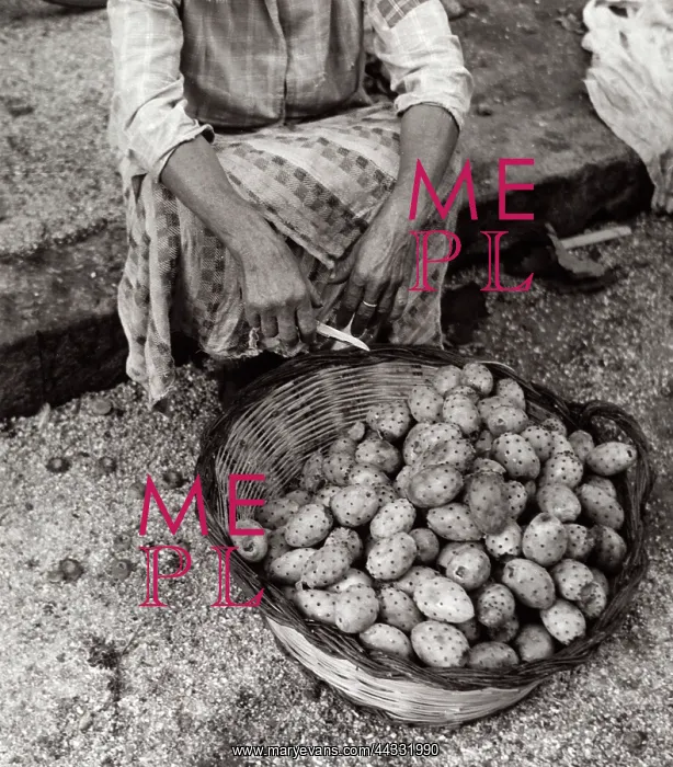 : Basket of figs : Basket of figs