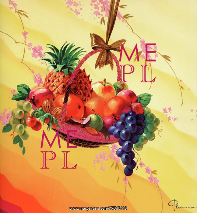 : Basket of fruit : Basket of fruit