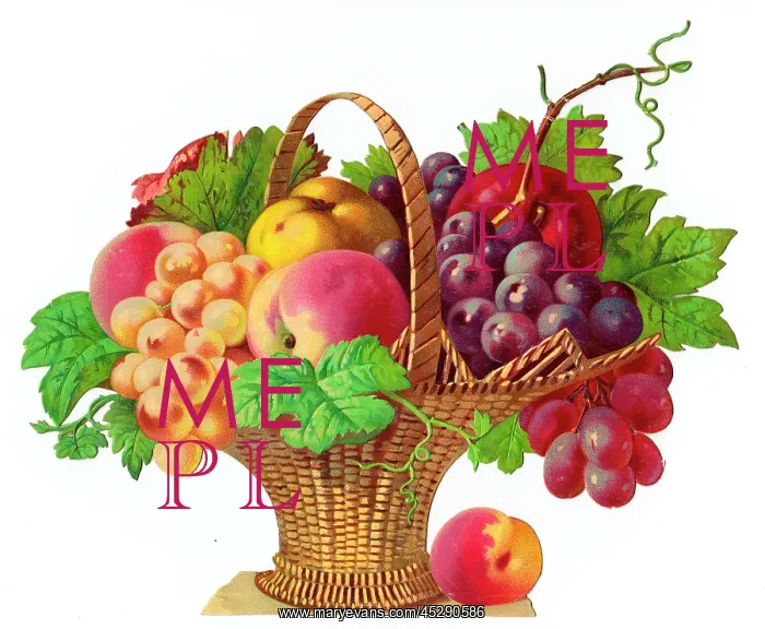  : Basket of fruit on a Victorian scrap
