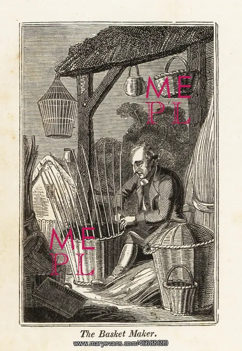 : Basket maker weaving a basket from willow : Basket maker weaving a basket from willow