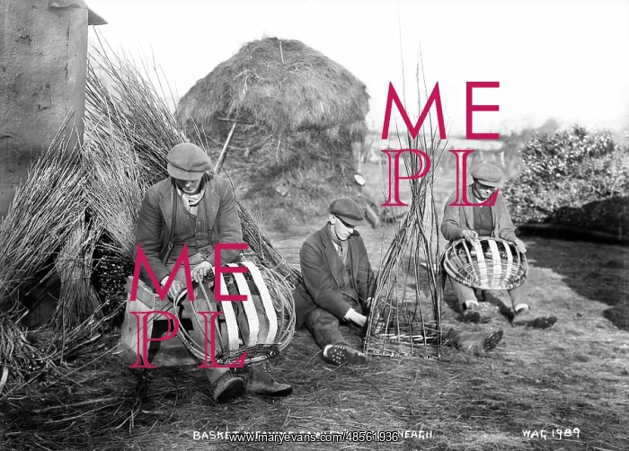 : Basket Making, Gawley's Gate. Loch Neagh : Basket Making, Gawley's Gate. Loch Neagh