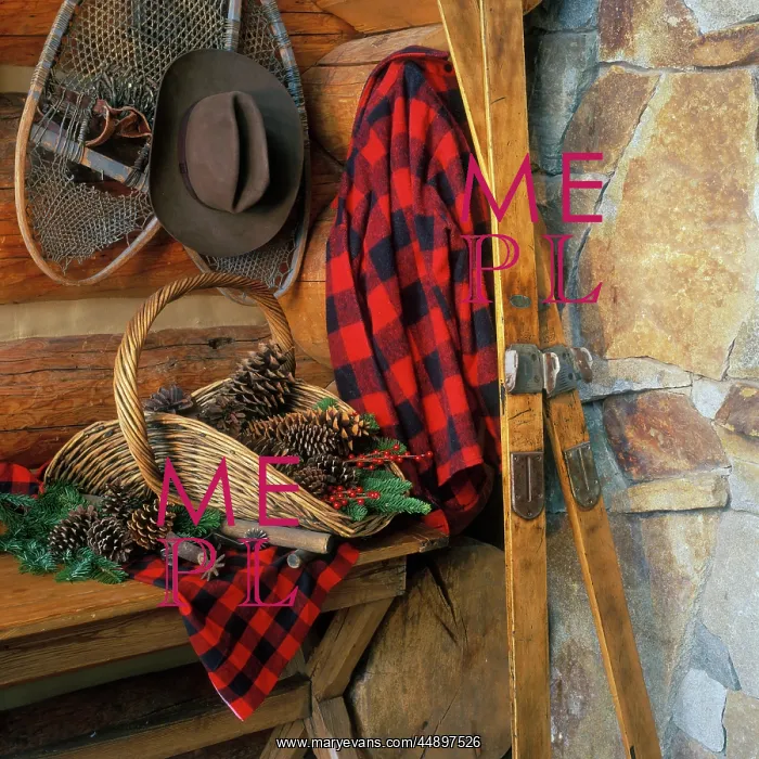 : BASKET OF PINE CONES NEXT TO RED CHECKERED SHIRT : BASKET OF PINE CONES NEXT TO RED CHECKERED SHIRT