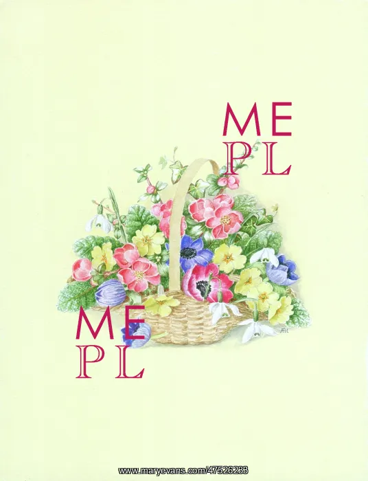 : Basket of spring flowers including anemones : Basket of spring flowers including anemones