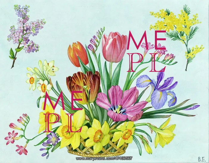 : Basket of Spring Flowers - jonquil, daffodils : Basket of Spring Flowers - jonquil, daffodils
