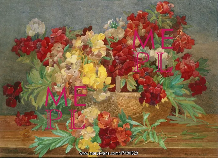 : A Basket of Wallflowers : A Basket of Wallflowers