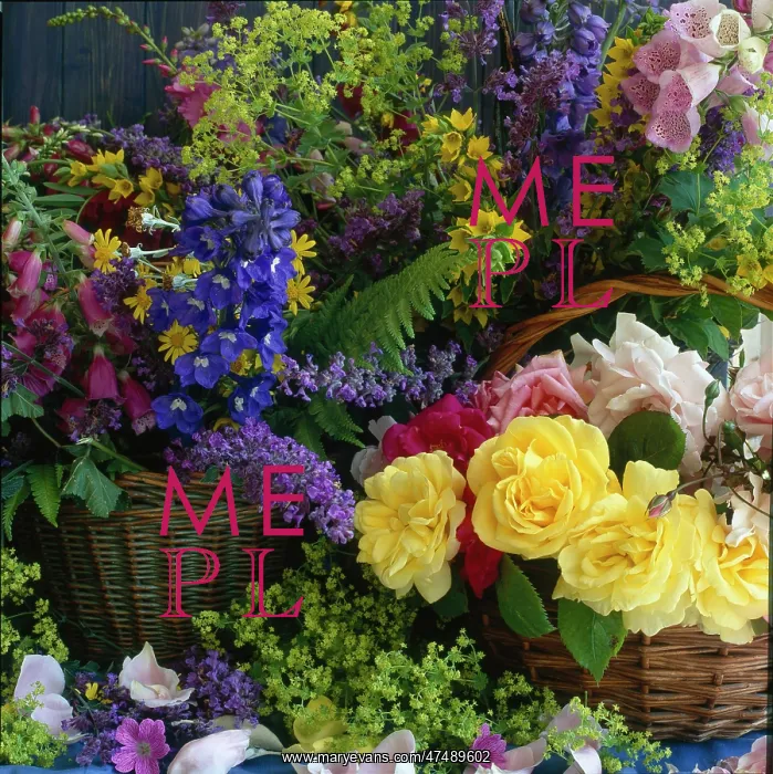  : Baskets with flowers