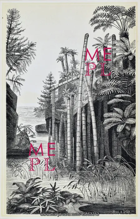 : Basle during the Keuper Period (Middle to Upper Triassic) : Basle during the Keuper Period (Middle to Upper Triassic)