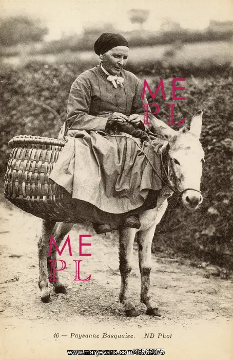 : Basque woman riding a donkey : Basque woman riding a donkey