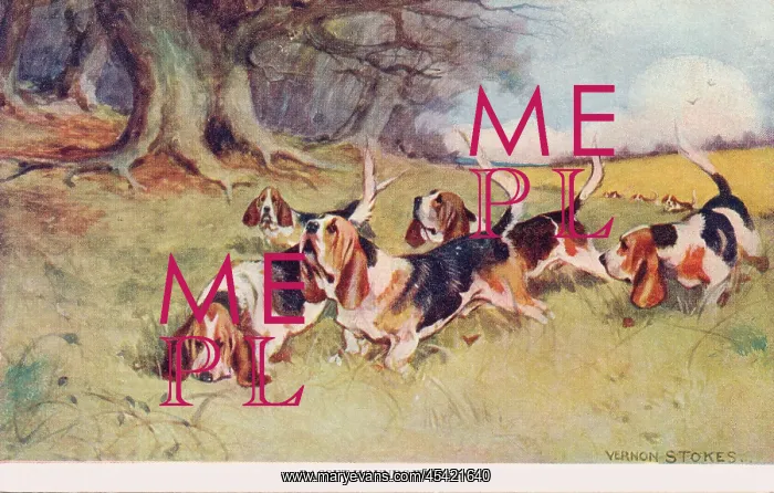 : Basset Hounds : Basset Hounds