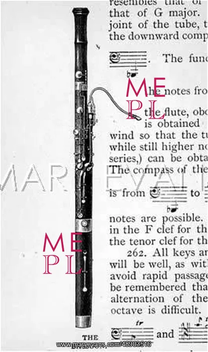 : BASSOON ON ITS OWN : BASSOON ON ITS OWN