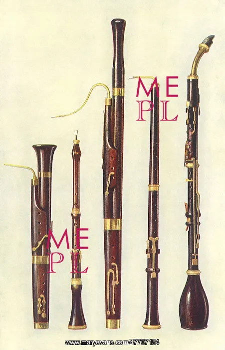  : Bassoon, et al