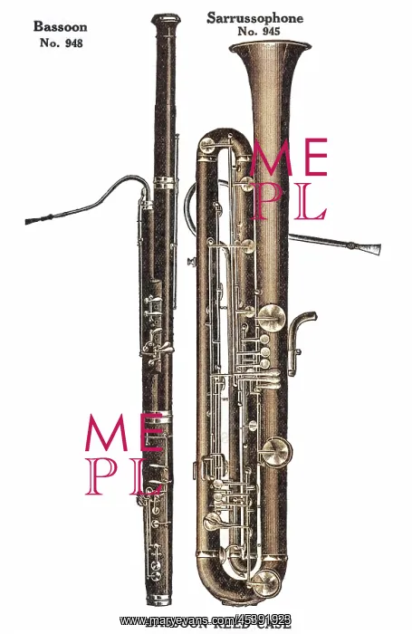 : Bassoon - Sarrussophone : Bassoon - Sarrussophone