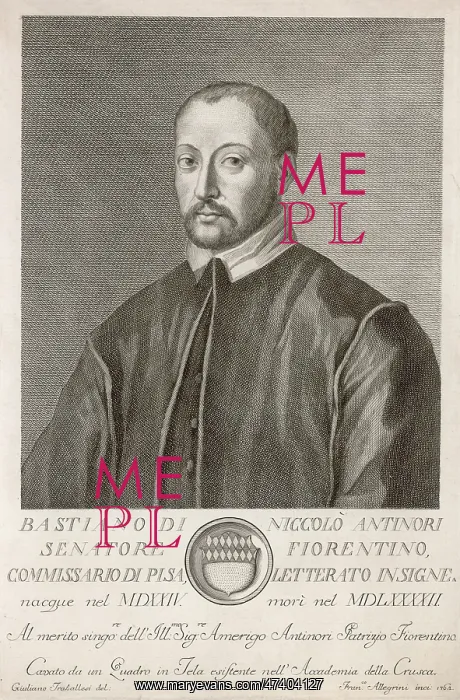 : BASTIANO ANTINORI : BASTIANO ANTINORI