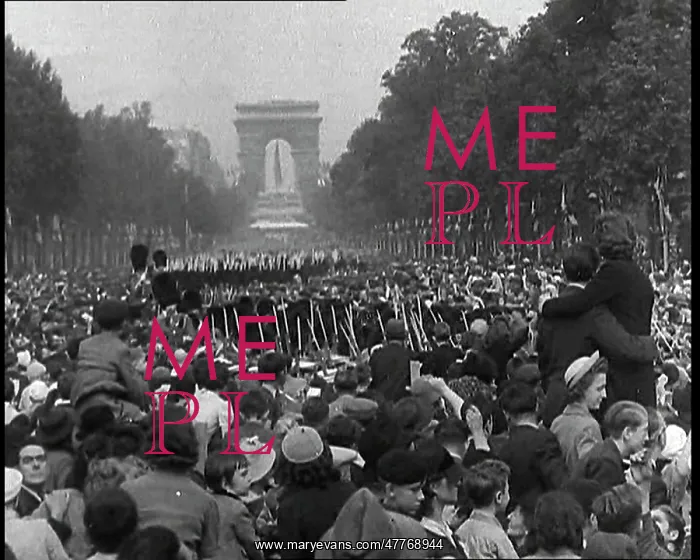 : Bastille Day Military Parade : Bastille Day Military Parade