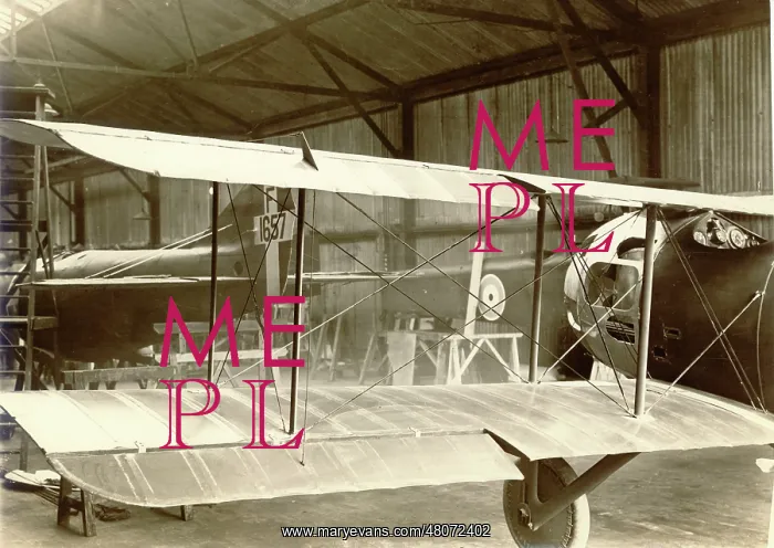  : Two BAT Bantam Is, including F1657