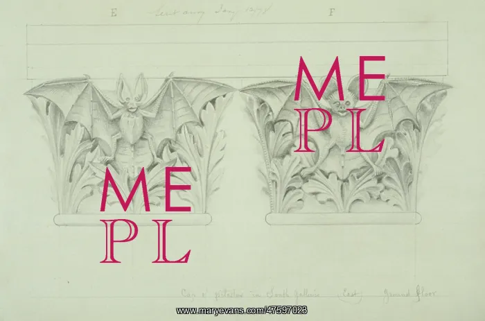 : Bat design : Bat design