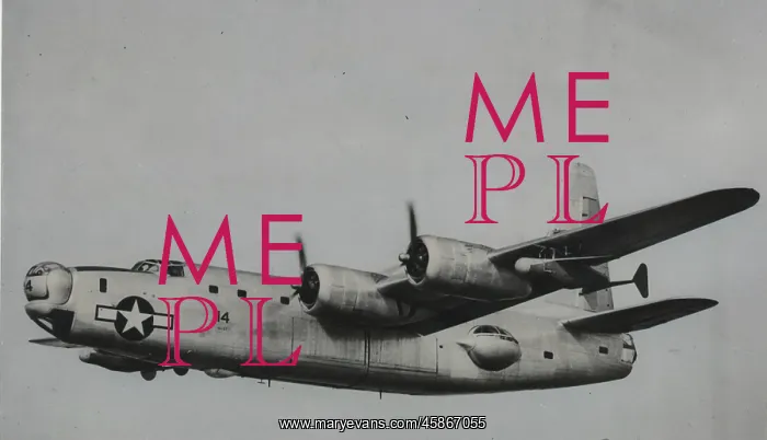 : Bat & PB4Y-2 flying : Bat & PB4Y-2 flying