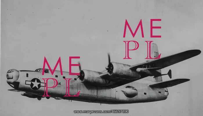 : Bat & PB4Y-2 flying : Bat & PB4Y-2 flying