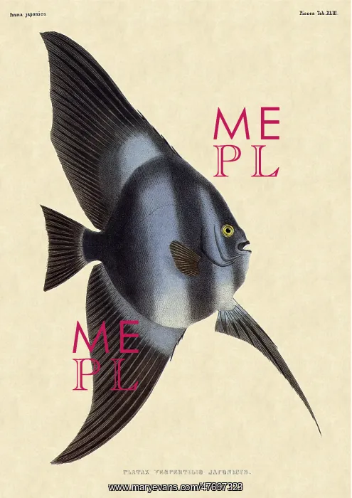  : Batfish