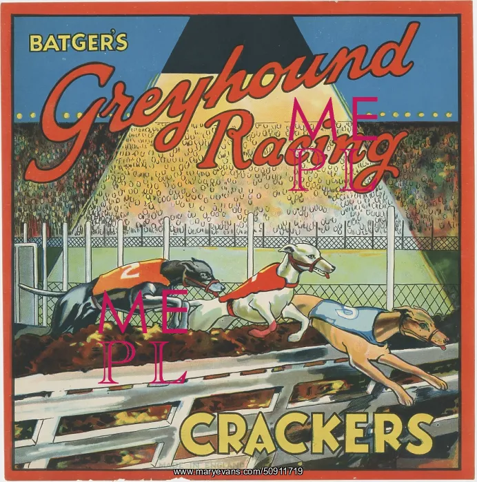 : Batgers Greyhound Racing crackers : Batgers Greyhound Racing crackers