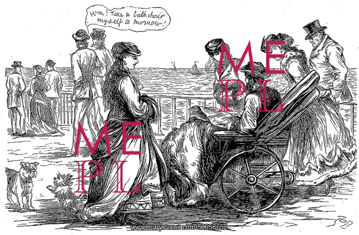 : Bath Chair, 1868 : Bath Chair, 1868