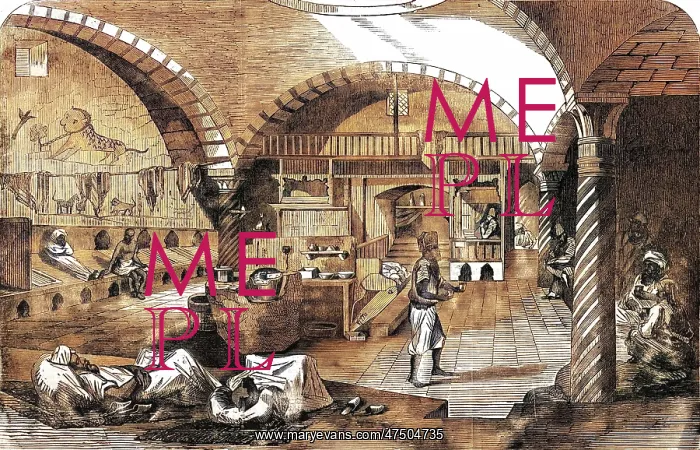 : BATH HOUSE TUNIS 1858 : BATH HOUSE TUNIS 1858