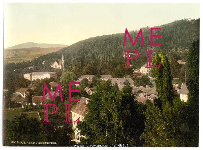 : Bath of Liebenstein (i.e. Bad Liebenstein), Thuringia, Germ : Bath of Liebenstein (i.e. Bad Liebenstein), Thuringia, Germ