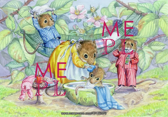 : Bath Time - with mouse being washed : Bath Time - with mouse being washed