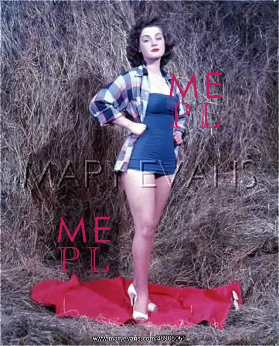 : BATHING COSTUME & HAY : BATHING COSTUME & HAY