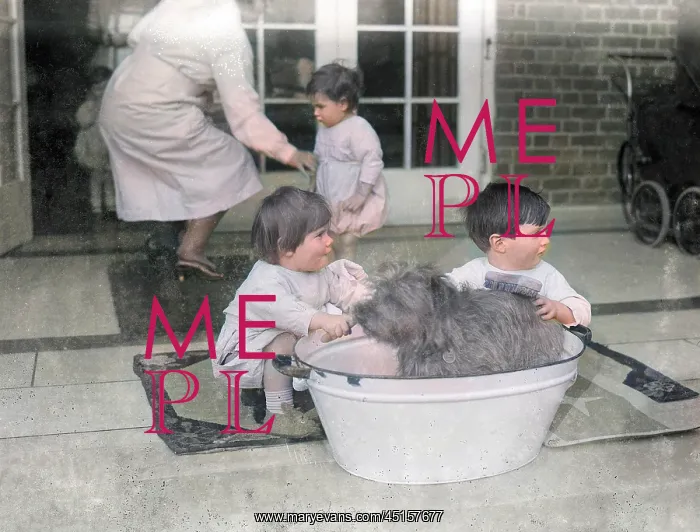 : BATHING THE DOG : BATHING THE DOG