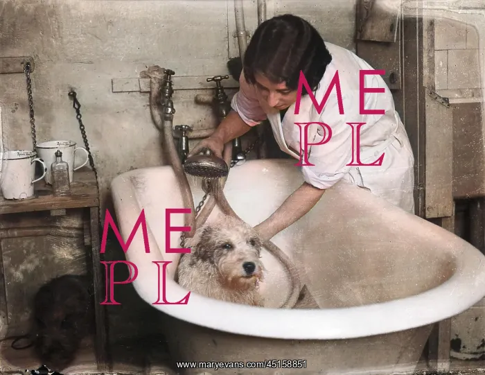 : Bathing a Dog : Bathing a Dog