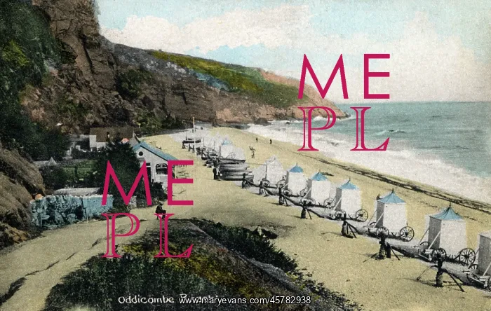 : Bathing Machines on the sand at Oddicombe Beach : Bathing Machines on the sand at Oddicombe Beach