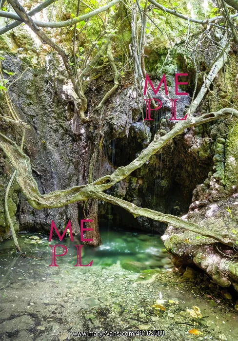 : Baths of Aphrodite, Akamas Peninsula, Cyprus : Baths of Aphrodite, Akamas Peninsula, Cyprus