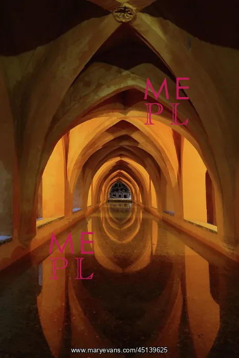 : Baths of Lady Maria de Padilla, Real Alcazar : Baths of Lady Maria de Padilla, Real Alcazar