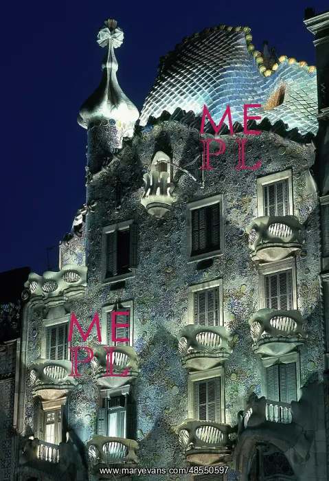  : Batllo House. Barcelona. Spain