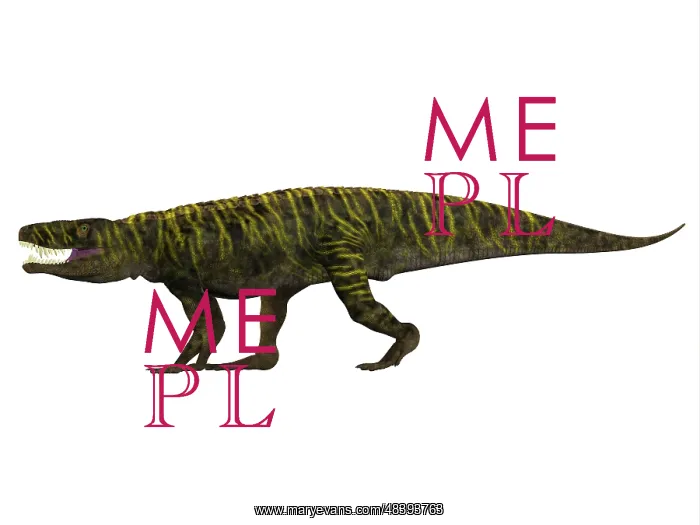 : Batrachotomus archosaur, side view : Batrachotomus archosaur, side view